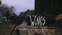 Wings