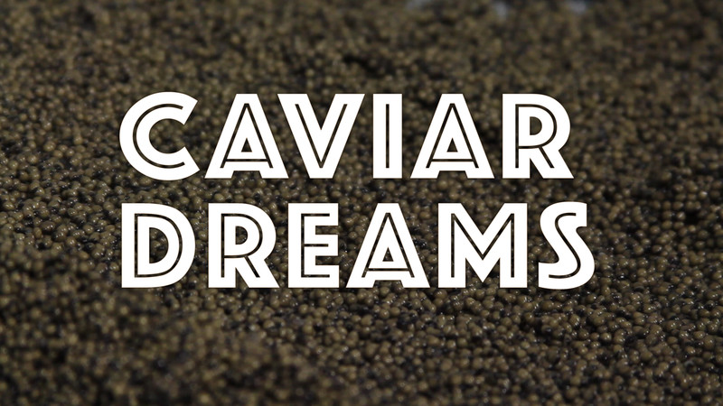 2017 Longleaf Film Festival Official Selection: Caviar Dreams